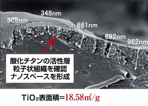 セラミックスフォーム密着層組織断面写真