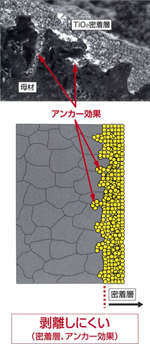 新技術 剥離しにくい(密着層、アンカー効果)